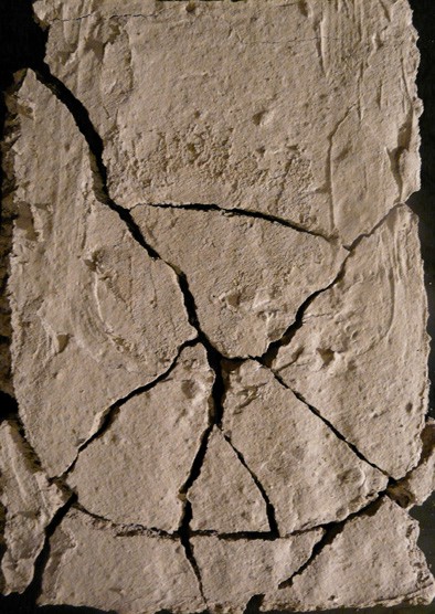 obalka - zadní strana.jpg