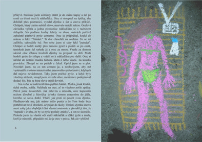 text + ilustrace.jpg
